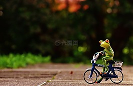 青蛙,自行車,滑稽