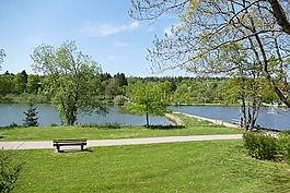 公園,草,高峰