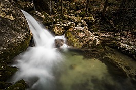 水,過獨身生活,河