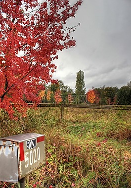 郵箱,自然,紅色