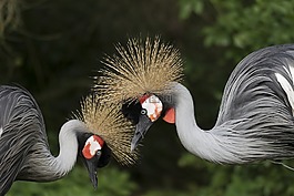 起重機(jī),設(shè)置,一對(duì)
