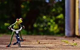 青蛙,自行車,滑稽