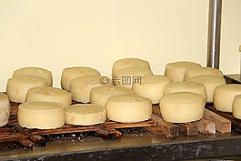 奶酪,老化,乳制品
