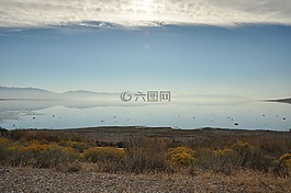 猶他州,沙漠,美國(guó)