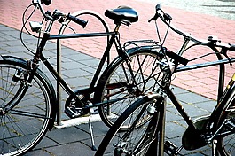 騎自行車,自行車,街