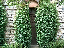 門,目標(biāo),輸入