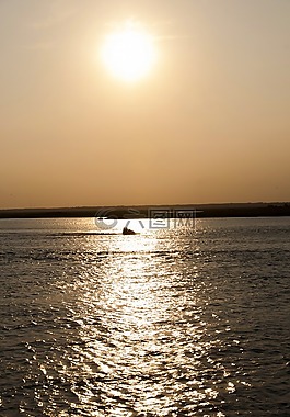 日落,海洋,太陽