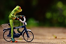 青蛙,自行車,滑稽