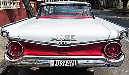 古巴,vedado,almendron