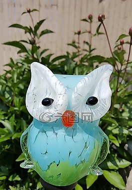 猫头鹰,太阳,玻璃