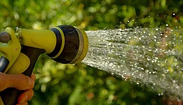 澆水,水射流,園丁