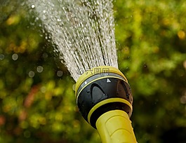 澆水,水射流,園丁