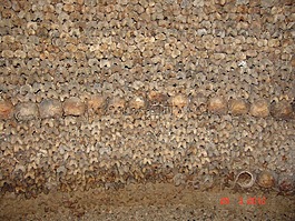 骨骼,頭骨,catacomb