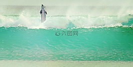 海豚,海,波
