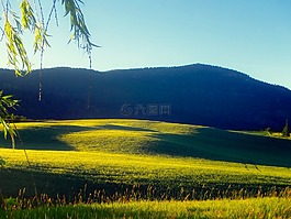 景觀,景區(qū),草甸