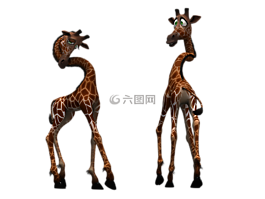 長頸鹿,哺乳動物,滑稽