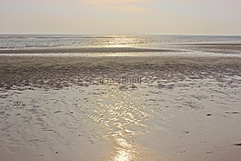 海,海灘,落潮