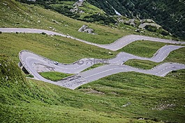 高原,綠色,草