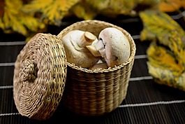 蘑菇,食品,菜