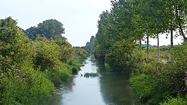 通道,河,水