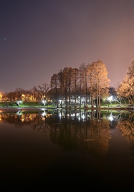 景觀,光,夜