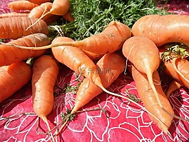 胡蘿卜,蔬菜,健康