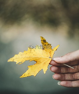 手,綠,著色