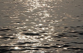 水,海岸,波