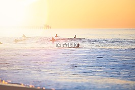 海,海洋,水