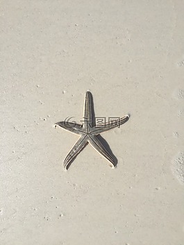 海濱,海灘,沙