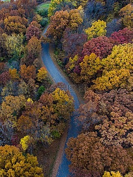 路徑,路,樹(shù)