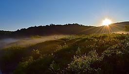 太陽,原野,薄霧