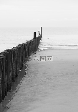 落潮,海,海灘