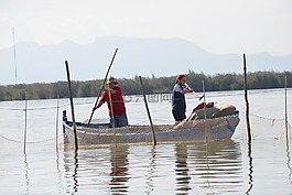 性质,泻湖,海洋