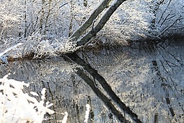 冬天,雪,反思