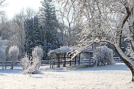 冬天,雪,冰