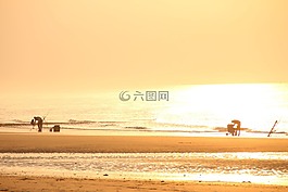 魚,釣魚者,海灘