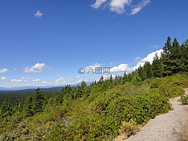 沙斯塔,熊,藍色的天空