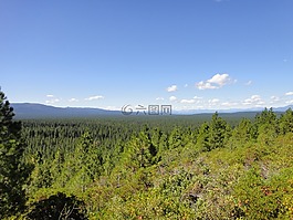 沙斯塔,熊,藍色的天空