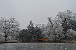 公園,冰箱,冬天