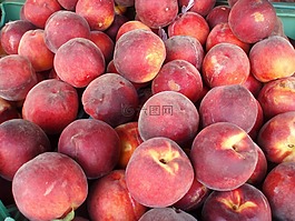 桃子,美味的桃子,桃