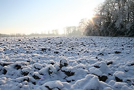 冰雪覆蓋的地面,冰冷的冬天,第一場雪