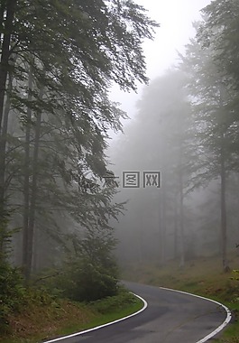霧,路,路徑