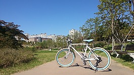 自行車,公園,騎馬