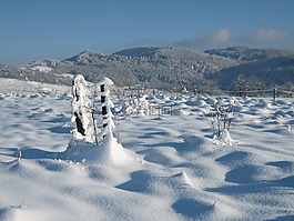 冬天,雪,冷