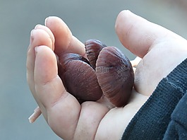蘑菇,手,兒童