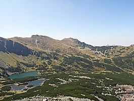 山,森林,全景圖