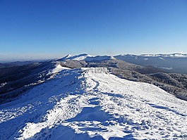 山,森林,全景圖