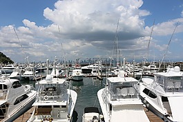 巴拿馬,游艇,海