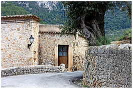 首頁,路,門